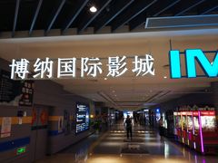 -博纳国际影城(南联IMAX店)