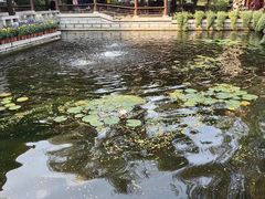 -沈阳植物园