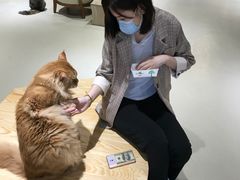 -藏猫猫咖啡主题馆(中央大道店)