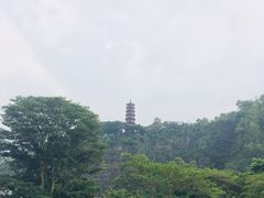-南沙蒲洲花园
