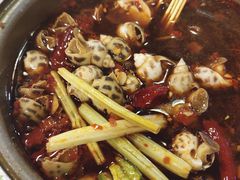 辣酒煮花螺-盛港湾海鲜食府(黄沙店)
