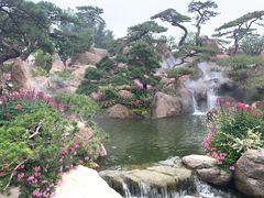 -罗红摄影艺术馆