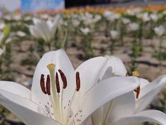 -中国农业博物馆