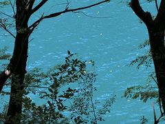 -叠溪松坪沟景区