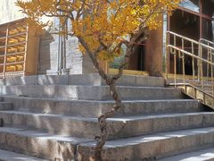 -西宁市东关清真大寺
