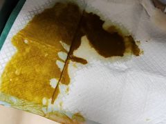 -瑞派雷欧宠物医院·24h夜诊·心脏骨科牙科·全科重症转诊中心(无影山店)