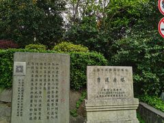 -上海佘山国家森林公园西佘山园