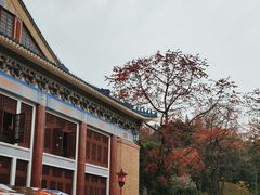 -广州中山纪念堂