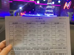 -枫花园汽车电影院(朝阳公园店)