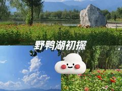 -野鸭湖国家湿地公园