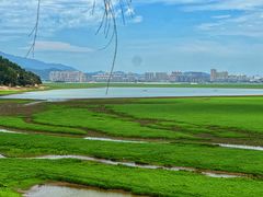 -鄱阳湖国家湿地公园