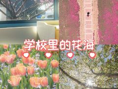 -东南大学(九龙湖校区)