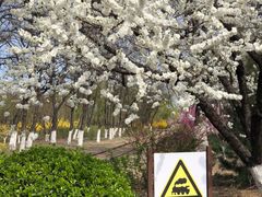 -永定河休闲森林公园