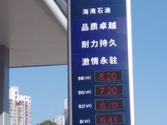 -海湾石油(南斯友好路店)