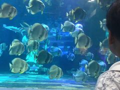 -梦幻海洋王国(吾悦广场张家港店)