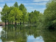 -贡湖湾湿地公园