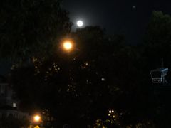 -咕叽咕叽自助烤肉小火锅(西城广场购物中心店)