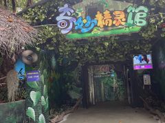 -广州长隆飞鸟乐园