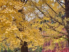 -大钟寺古钟博物馆