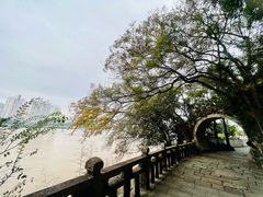 -江心屿景区