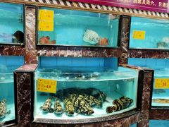 -益健海鲜大食坊(拱北口岸店)