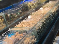 -苏格里岛自助烤肉海鲜火锅(成都金牛万达店)