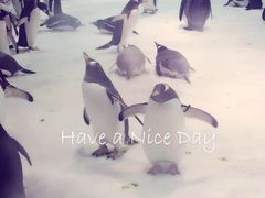 -大连圣亚海洋世界