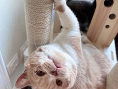 -邢大夫动物医院