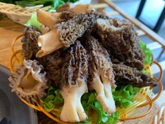 -菌海森林·非遗野生菌火锅(西山区滇池路摩根道店)