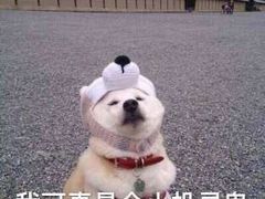 -四环冷面王(西单华威约饭街店)