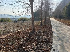 -金钉子远古世界景区