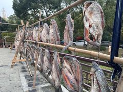 -旺山·浪头人家