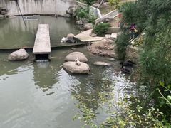 -得丘礼享谷·玉兰苑