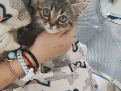 -爱诺动物医院(崂山店)