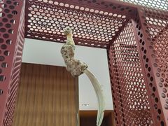 -二酉书店TOYOU BOOKS