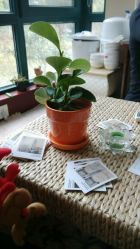 -Union瑜伽健康管理中心