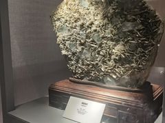 -长江文明馆