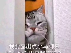 -海银海记潮汕牛肉火锅(新港中路海珠店)