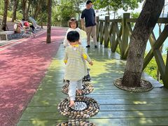 -广州市流溪河国家森林公园