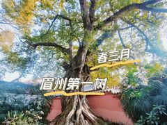 -三苏祠