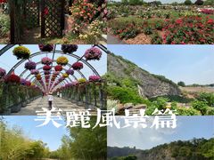 -上海辰山植物园