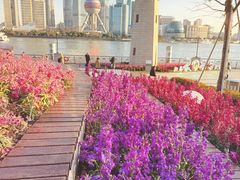 -北外滩滨江绿地