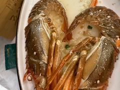 -五谷芳乳鸽王(海景店)