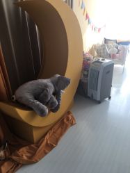 -首尔宝宝SEOUL  BABY STUDIO(通州店)