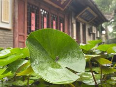 -兴教寺