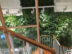 -悦诗风吟innisfree