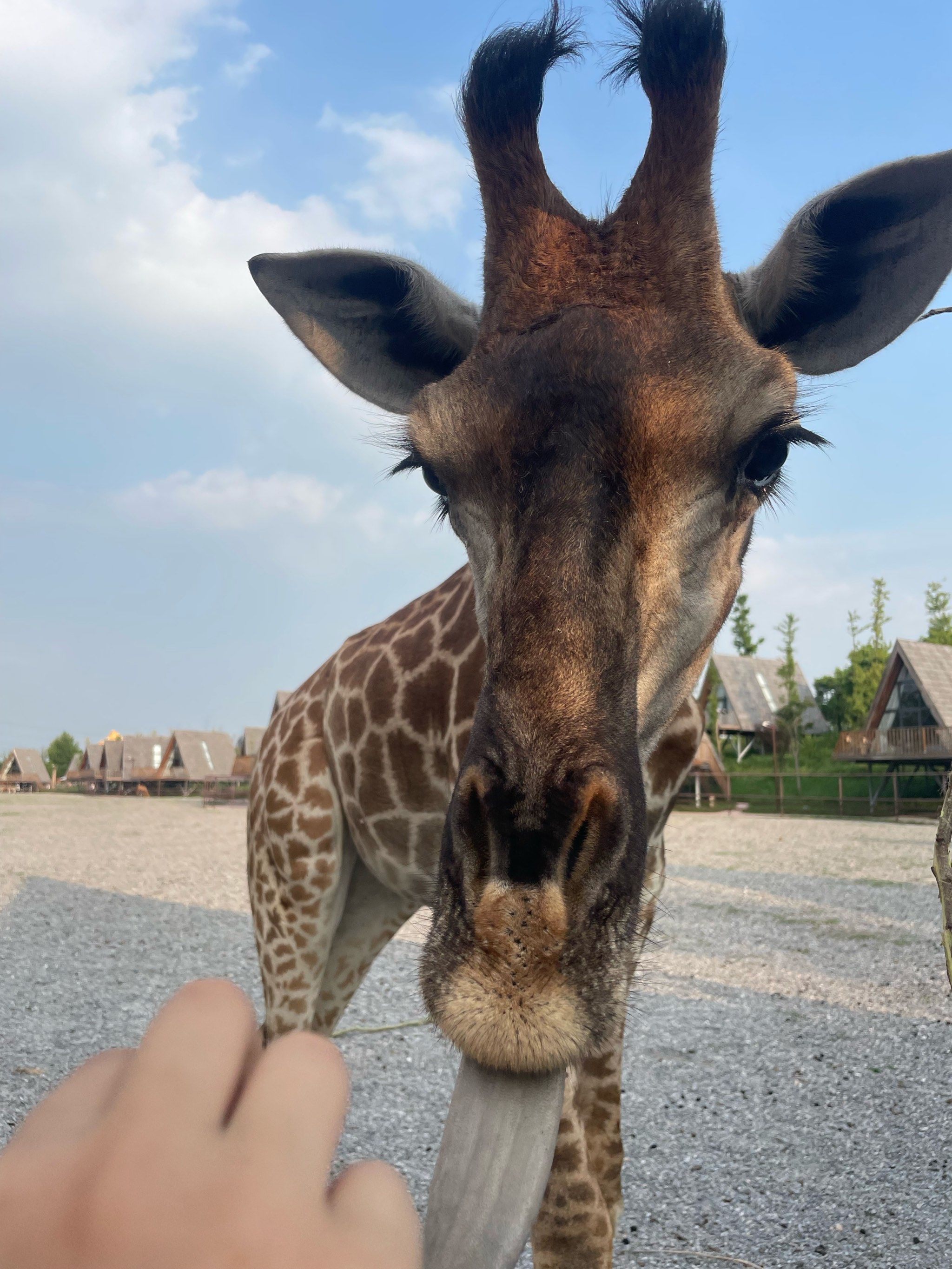 南通野生动物园一日游