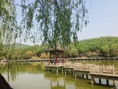 -北京西山国家森林公园