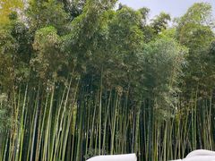 -苏州河梦清园环保主题公园