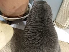 -小时光咖啡馆(开森度假森林店)